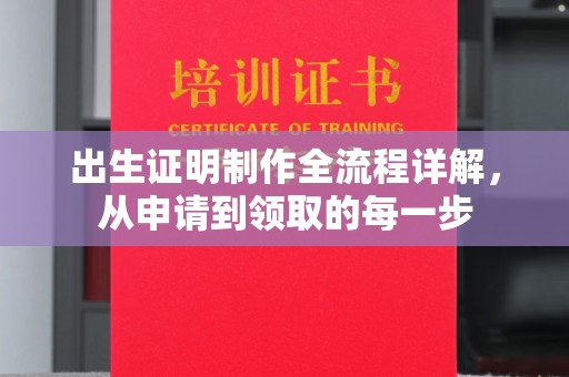 曲江出生证明制作全流程详解，从申请到领取的每一步