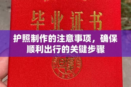 曲江护照制作的注意事项，确保顺利出行的关键步骤