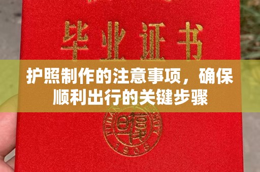 曲江护照制作的注意事项，确保顺利出行的关键步骤