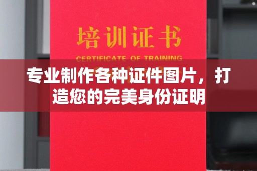 曲江专业制作各种证件图片，打造您的完美身份证明