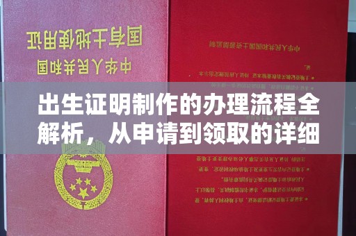 曲江出生证明制作的办理流程全解析，从申请到领取的详细指南